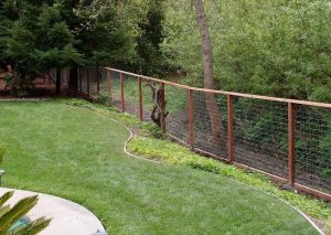 garden protected by deer fence barrier