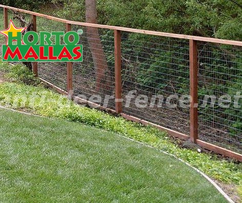 Fence  for protection of plants keeps the integrity