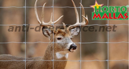 Anti deer fence resistant for the protect of the plants and crops against deer
